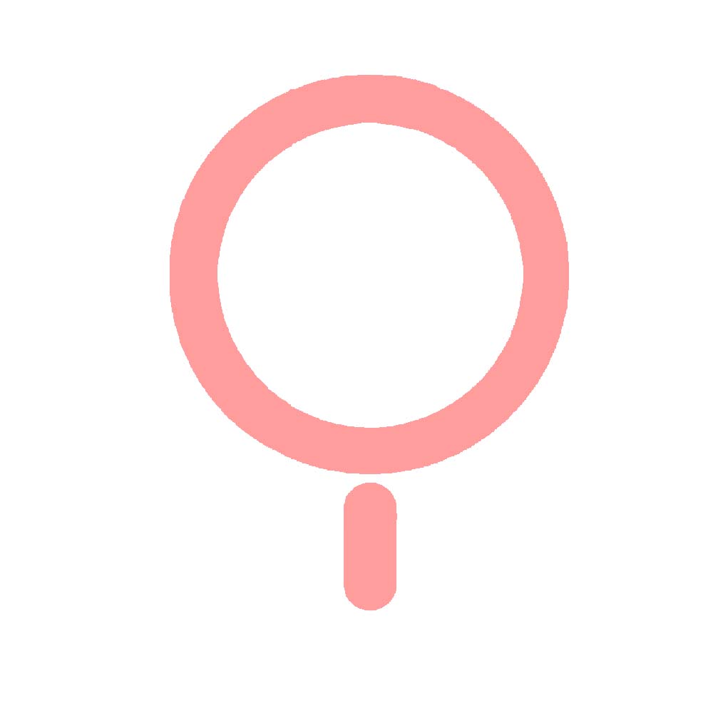 accessory the king magnetic magsafe adapter for pink case